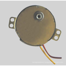 Synchronous Motor (49TDY -B)